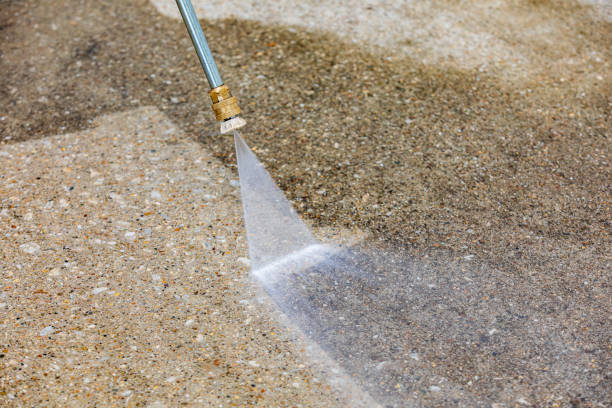 Best Winterizing Services  in Hornell, NY
