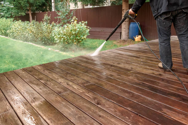 Best Animal Enclosure Cleaning  in Hornell, NY